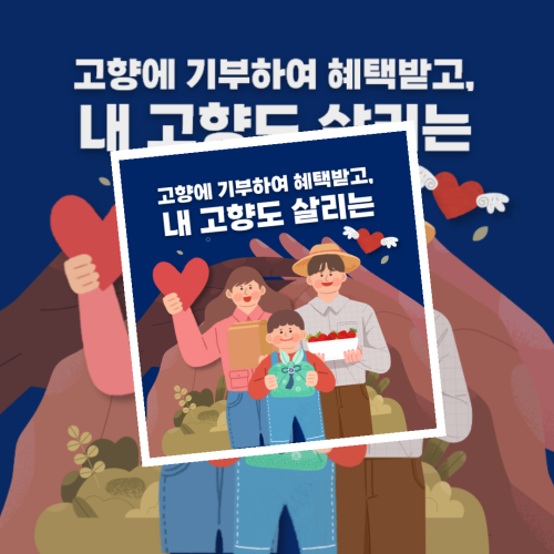 고향사랑기부제 기부한도